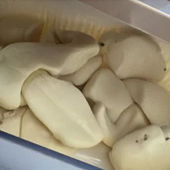 Yeni Alınan Buzdolabında Sürekli Bozulma Ve Servis Sorunu