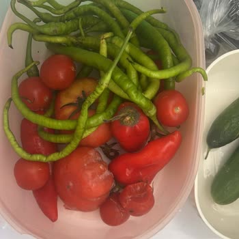 Yeni Alınan Buzdolabında Sürekli Bozulma Ve Servis Sorunu