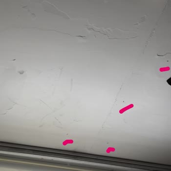 Güve Sorunu İçin Acil İlaçlama Talebi