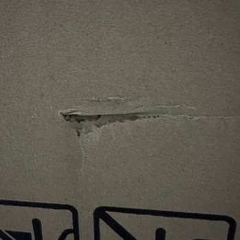 I Received a Damaged Samsung Fridge but They Denied Replacement