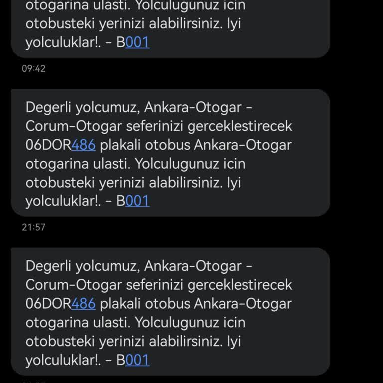 Otobüs Şoförünün Keyfi Hareketleri Ve Gecikmeler Yolculuğu Çileye Çevirdi