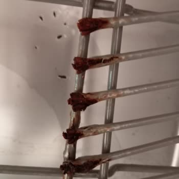 Teka Bulaşık Makinesi Sepetlerinde Yaygın Paslanma Ve Yüksek Yedek Parça Ücreti