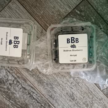 Aldığım Bodrum Blueberry Ürünleri Küflü Çıktı, Param Boşa Gitti