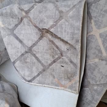 Iğdır Doğuş Evden Eve Nakliyat Eşyalarım Zarar Gördü, Hizmetten Memnun Kalmadım