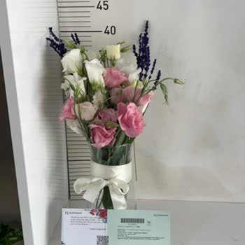 Siparişim Beklediğim Gibi Gelmedi, Hayal Kırıklığına Uğradım