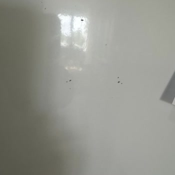 Garantisi Bitmeden Paslanan Buzdolabına Çözüm Bekliyorum