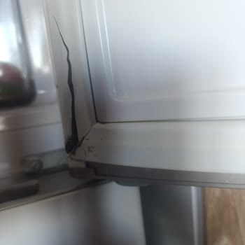 Buzdolabı Kapağı Lastiği Kendiliğinden Yırtıldı, Servis Ücret Talep Etti