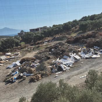 Döküntü Ev, İlgisiz Resepsiyon, Bitmeyen Sorunlar!