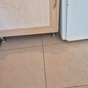 Döküntü Ev, İlgisiz Resepsiyon, Bitmeyen Sorunlar!