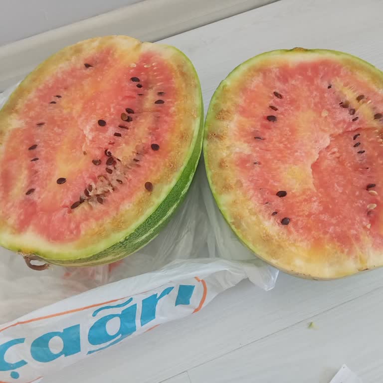 Uzaktan Taşıdığım Karpuzun Bozuk Çıkması Hayal Kırıklığı Yarattı