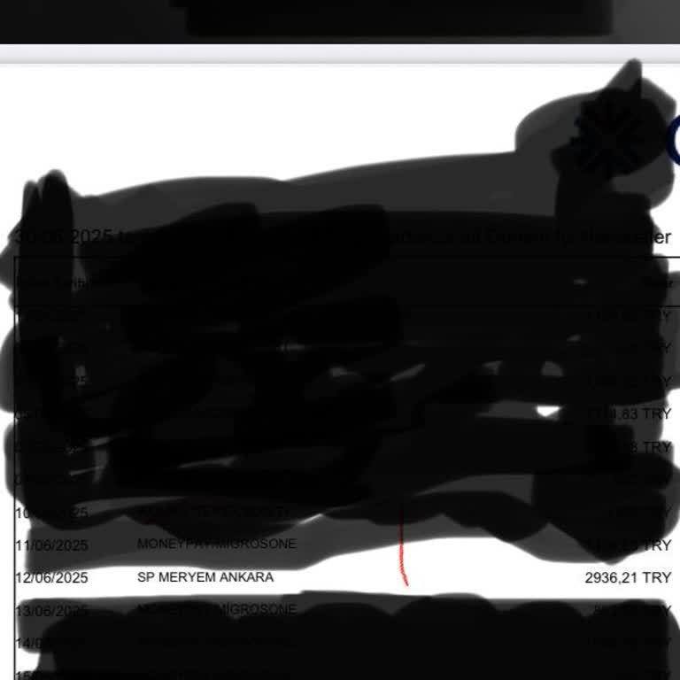 Siparişime Ve Ödediğim Ücrete Rağmen Hiçbir Geri Dönüş Alamadım