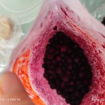 Yaban Mersini Paketindeki Ürün Görselden Çok Farklı Ve Oldukça Küçük