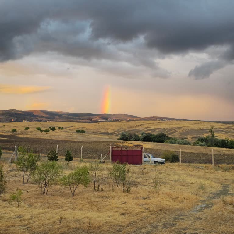 S24 Ultra'nın Kamerası Beklentimi Karşılamadı, Hayal Kırıklığı Yaşadım