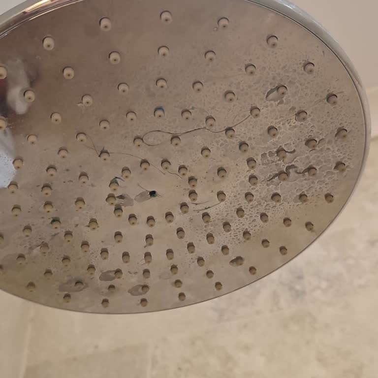 Otel Odasında Temizlik Ve Hizmet Eksiklikleri, Restoranda Hijyen Sorunları