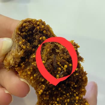 Aldığım Kuru İncirlerin İçinden Kurt Çıktı Hijyen Endişesi Yaşadım