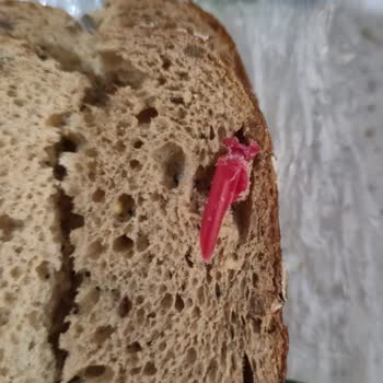 Ekmekten Çıkan Kırmızı Plastik Parçası Büyük Tehlike Oluşturdu