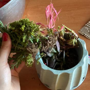 Eksik Ve Düzensiz Paketleme Nedeniyle Hayal Kırıklığı