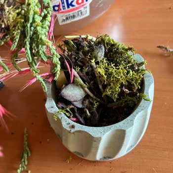 Eksik Ve Düzensiz Paketleme Nedeniyle Hayal Kırıklığı