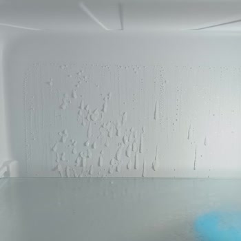 Arızalı Buzdolabı Ve Yetersiz Müşteri Hizmetleri Deneyimi