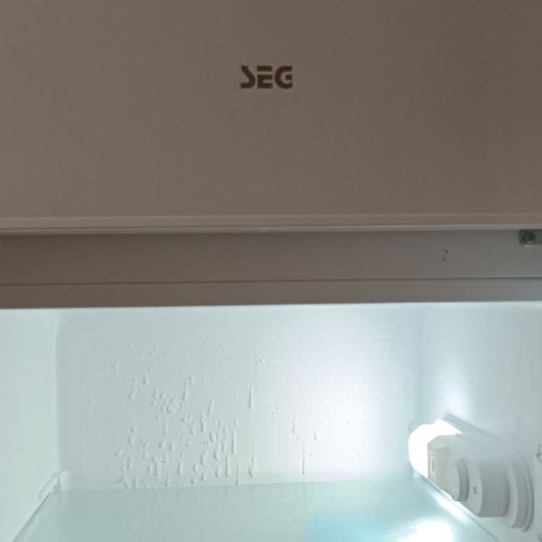 Arızalı Buzdolabı Ve Yetersiz Müşteri Hizmetleri Deneyimi