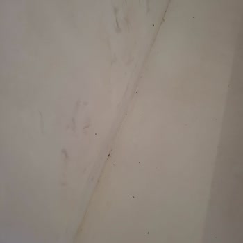Jolly Tur'un Önerdiği Otelde Hijyen Ve Hizmet Sorunu Yaşadık