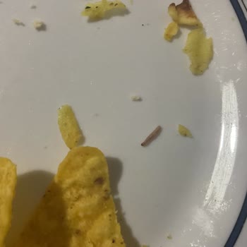 Patito Pesto Aromalı Cipsin İçinden Kurt Çıkması