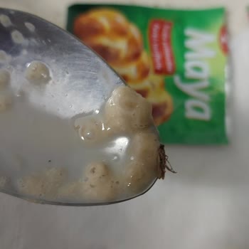 Aldığım Maya Ürününün İçinden Böcek Çıkması