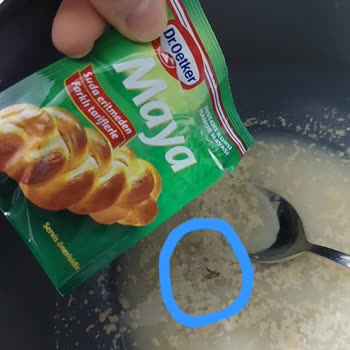 Aldığım Maya Ürününün İçinden Böcek Çıkması