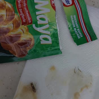 Aldığım Maya Ürününün İçinden Böcek Çıkması
