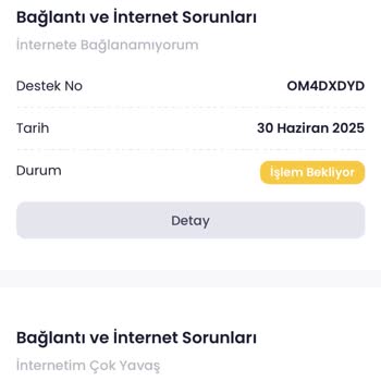 Netspeed'de Sürekli Bağlantı Kesintisi Ve Yetersiz Destek