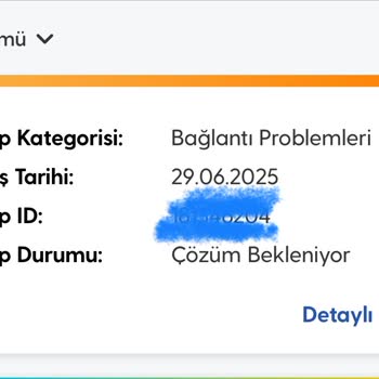 Kurulumdan Sonra Sürekli Kesilen İnternet Ve Yüksek Cayma Bedeli Mağduriyeti