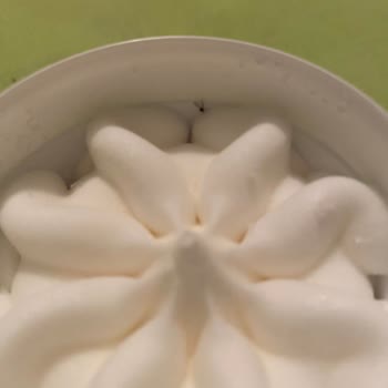 Dondurmadan Sinek Çıkması Hayal Kırıklığı Yarattı