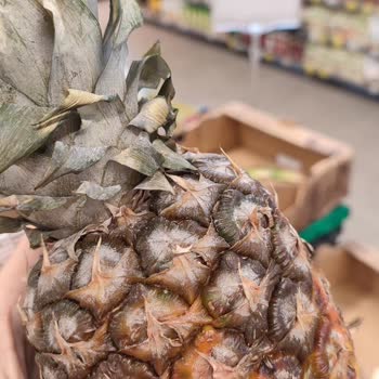 Carrefour Markette Küflü Ananaslar Halk Sağlığını Tehdit Ediyor