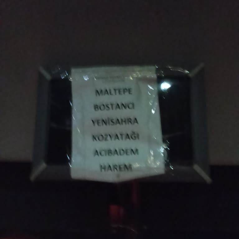 Bilette Harem Yazmasına Rağmen Sultanbeyli'de İndirildim, Şoför Davranışı Kötüydü