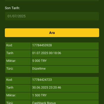 Kayıp Bonusunun Kullanılamaması Ve Bakiye Silinmesi Mağduriyeti