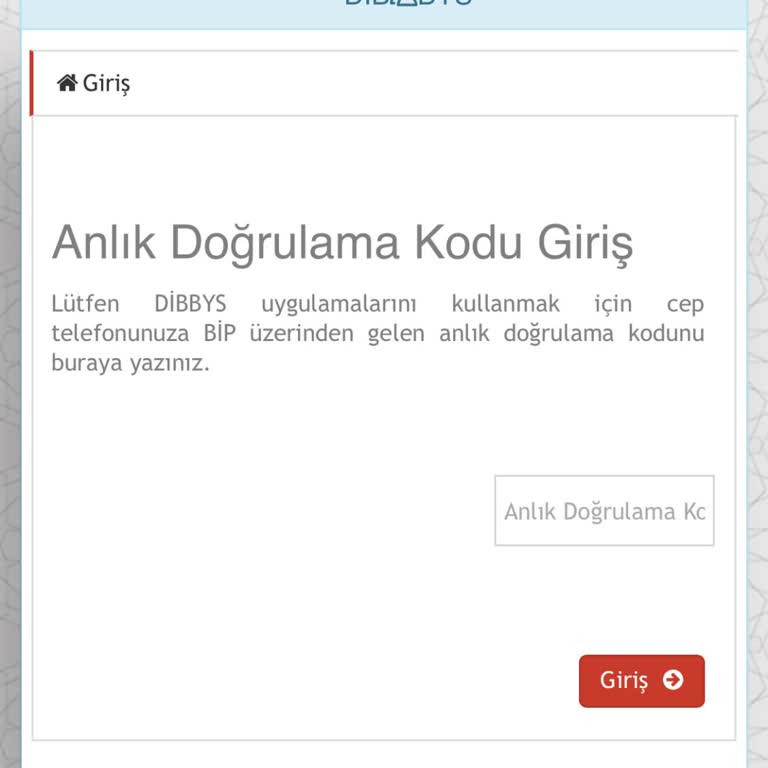 Dibbys Girişinde Doğrulama Kodu Sorunu Yaşıyorum