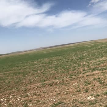 Sigortalı Tarlamdan Elde Ettiğim Hasat Kredi Borcumu Ödemeye Yetmiyor