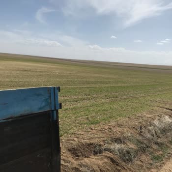 Sigortalı Tarlamdan Elde Ettiğim Hasat Kredi Borcumu Ödemeye Yetmiyor