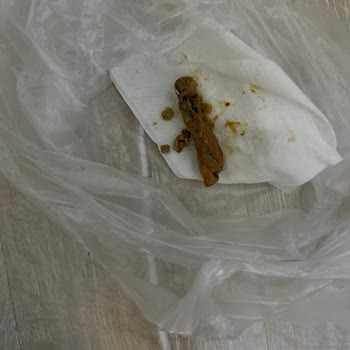 Panem Veteriner Kliniği Kimse Sorumluluk Almadı