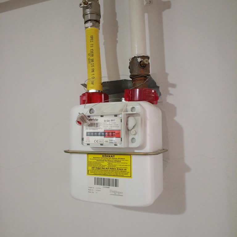 Doğalgaz Aboneliğinde Gecikme Mağduriyeti