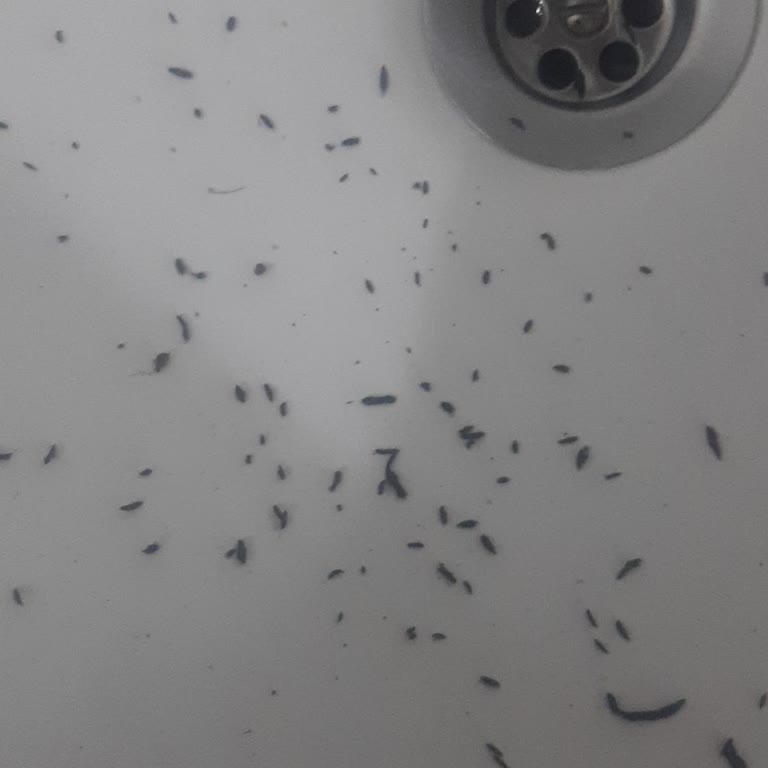 Satın Aldığım Saç Dolgunlaştırıcı Topaklanma Sorunu Yaşıyor