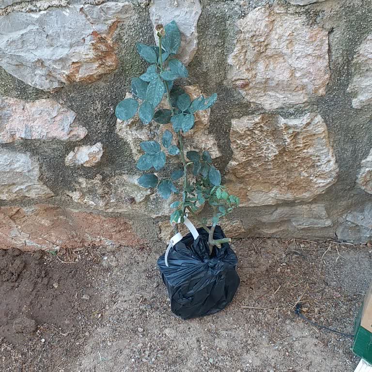 Siparişte Yanlış Ürün Gönderimi Hakkında Şikayet