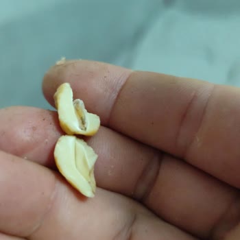 Taze Olmayan Çerez İçin Reklam Gibi Cevap!