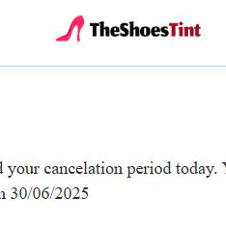 Theshoestint.com İnsanları Yanıltması