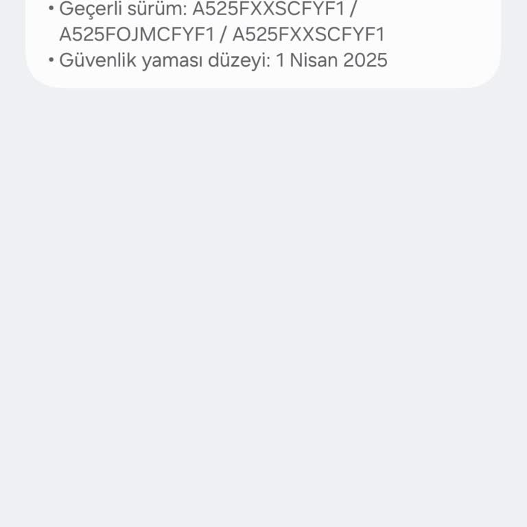 Güncelleme Sonrası Samsung A52 Sürekli Açılıp Kapanıyor