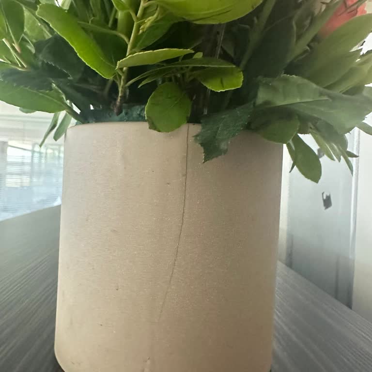 Kırık Çiçek Saksısı Ve Yetersiz Telafi Teklifi