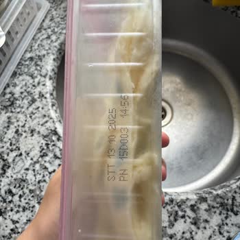 Son Kullanma Tarihi Geçmemiş Peynirin Buzdolabında Küflenmesi