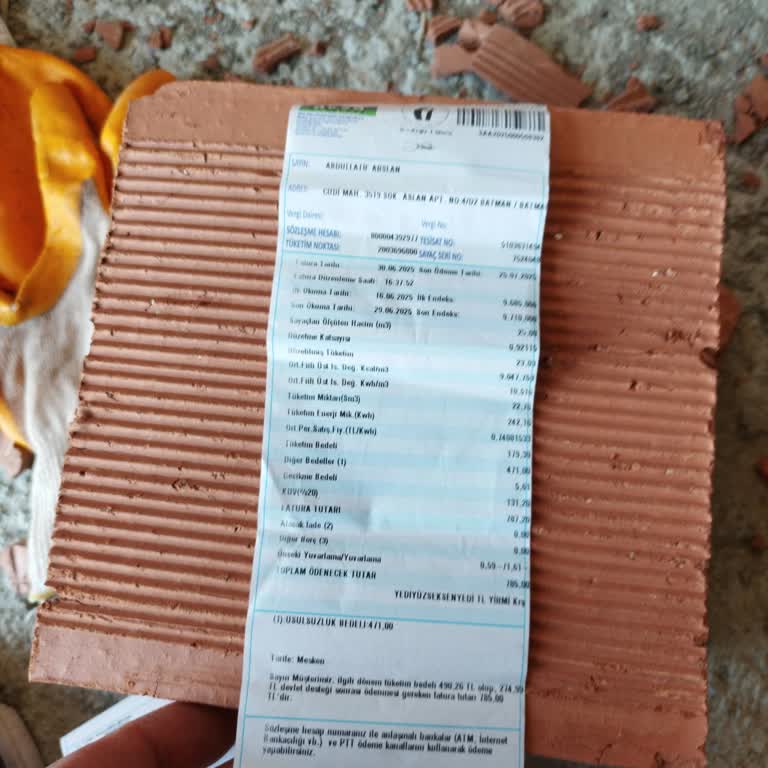 Borç Ödememe Rağmen Usulsüz Kullanım Cezası Yansıtıldı