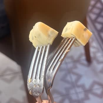 Küflü Peynir Ve Sürekli İlgisizlik Nedeniyle Hayal Kırıklığı