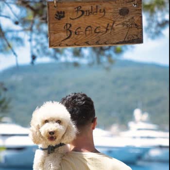 Marmaris Bay Resort Pet Friendly Olduğu Belirtilen Otelde Evcil Hayvanımızla Kabul Edilmedik